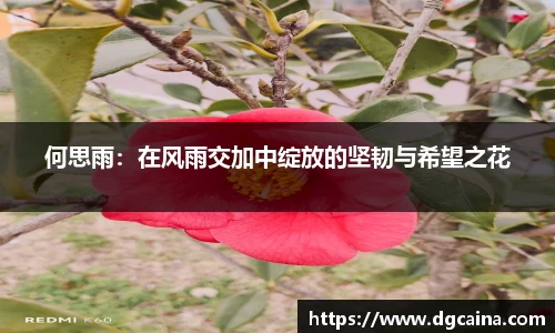 何思雨：在风雨交加中绽放的坚韧与希望之花